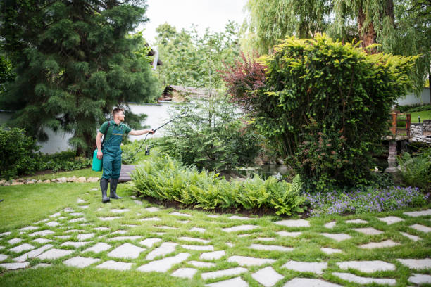 Best Weed Control  in Lyons, IL